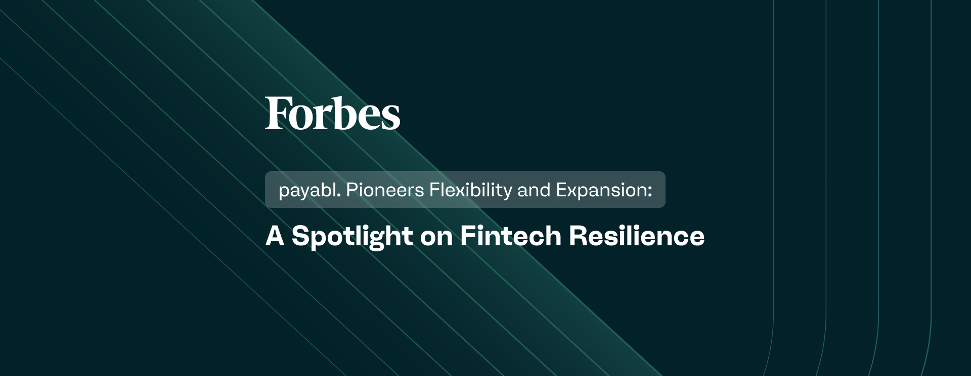 payabl. Pioneers Flexibility and Expansion: A Spotlight on Fintech Resilience