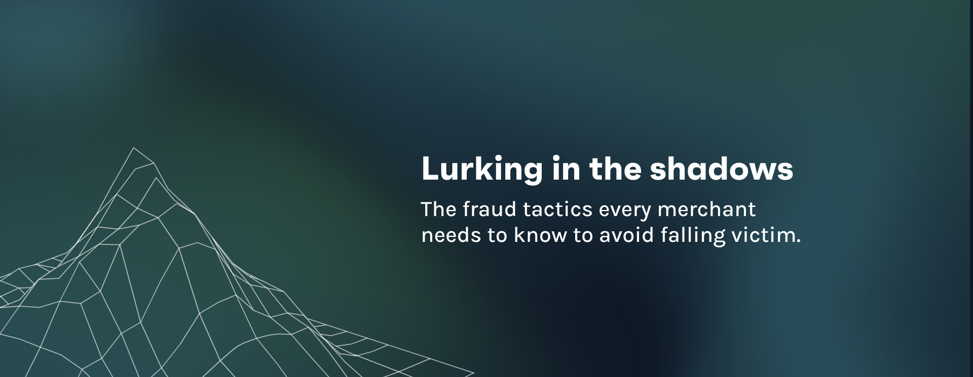 Lurking in the shadows -    The fraud tactics every merchant needs to know to avoid falling victim.