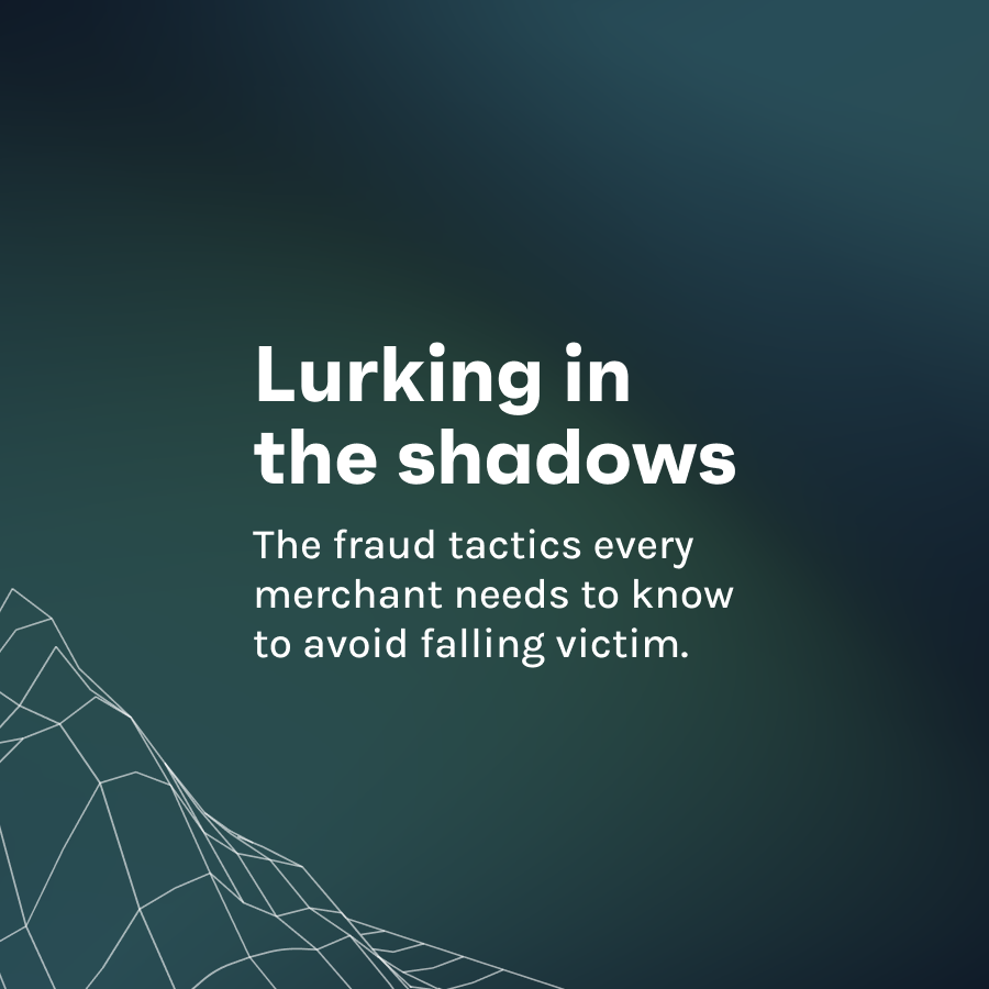 Lurking in the shadows -    The fraud tactics every merchant needs to know to avoid falling victim.