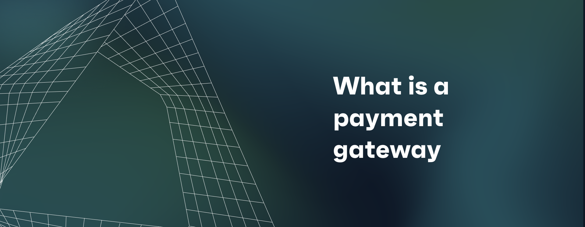 What is a payment gateway?